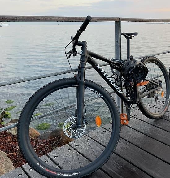 Specialized Epic Comp 2020