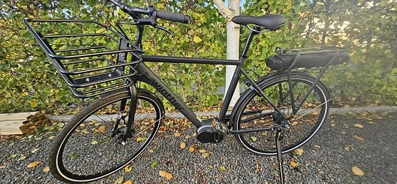 El-cykel NY
