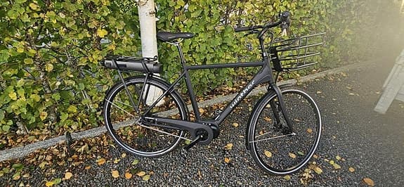 El-cykel NY