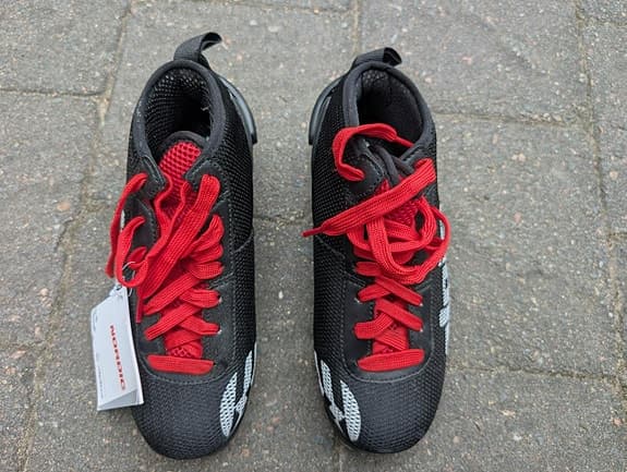 Alpina RCL Summer Rullskidskor oanvända