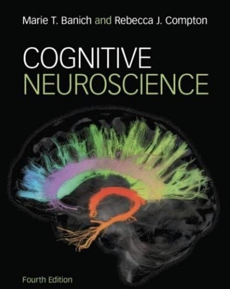 Psykologi - Cognitive Neuroscience