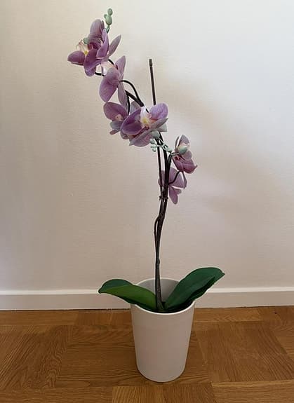 Konstgjord hög orkidé (80 cm hög) inklusive vit ytterkruk
