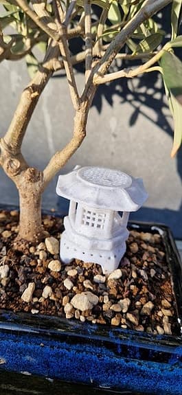 Bonsai gödningskorg paket