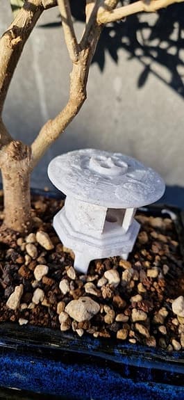 Bonsai gödningskorg paket