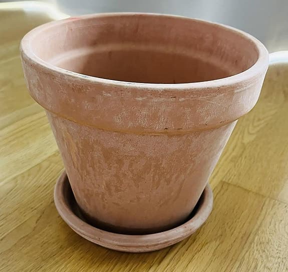 Kruka terrakotta med fat normalstorlek