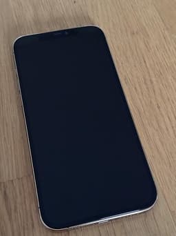 Iphone 12 Pro Max 256 gb Nytt batteri och skärm