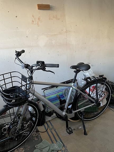 Ecoride Ambassador HS7