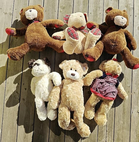 Teddybjörnar