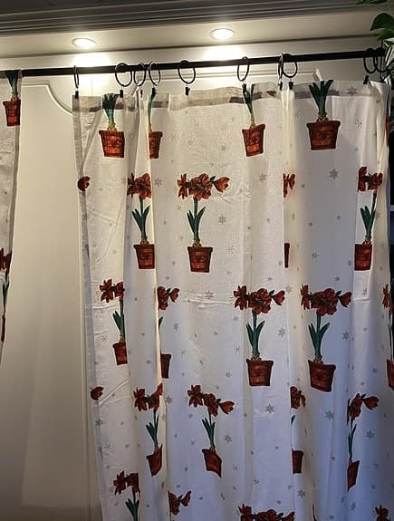 Två vita gardinlängder med röda amaryllisar