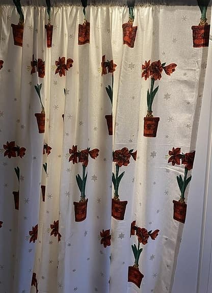 Två vita gardinlängder med röda amaryllisar