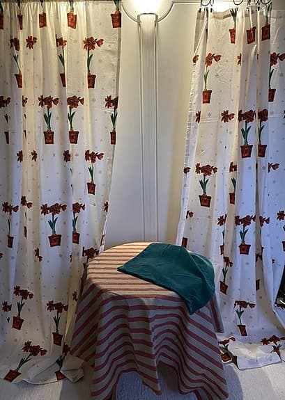 Två vita gardinlängder med röda amaryllisar