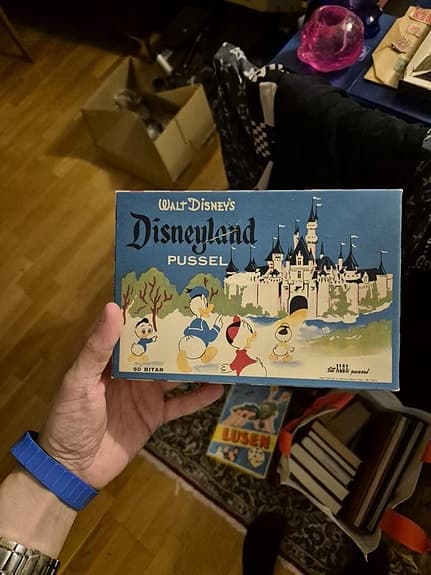 Disneyland pussel ( gammlt )