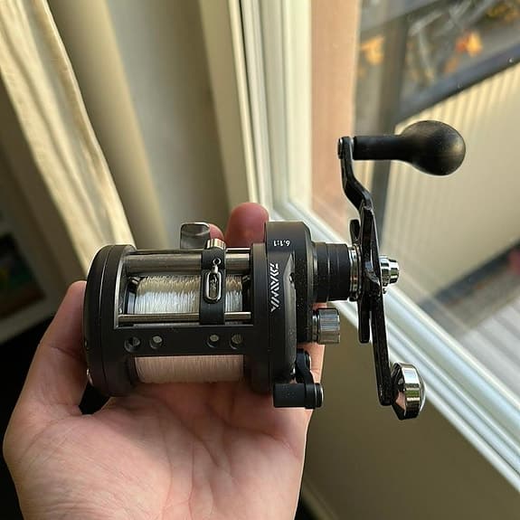 Daiwa Saltist LW30H-C Laxrulle