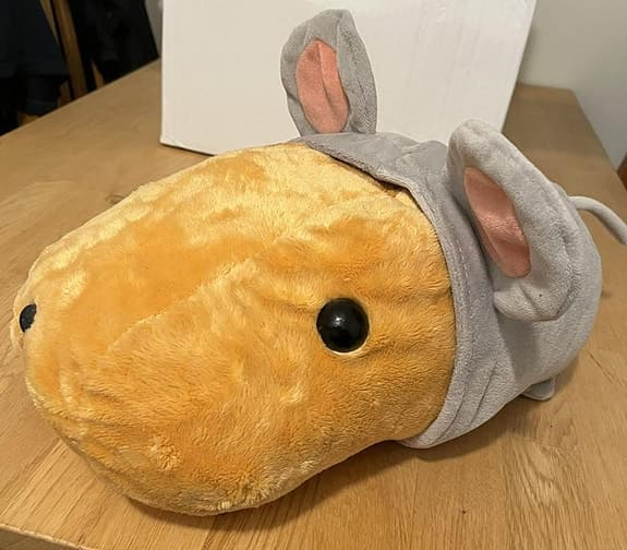 Kapibara san (Kapybara) Gosedjur