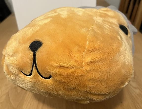 Kapibara san (Kapybara) Gosedjur