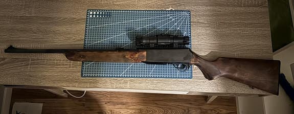 Browning bar 0.308