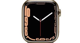 Apple Watch Series7 Rostfritt stål 45mm GPS + Cellular –G