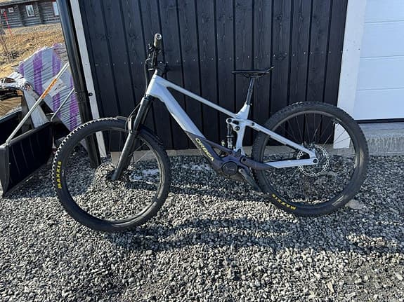 Orbea Wild 24