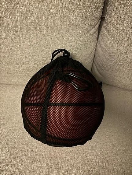 Wilson Evolution basket boll och Wilson nätbag