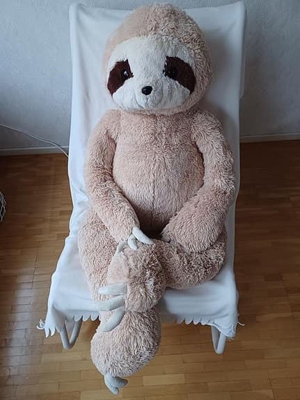 Stora gosedjur