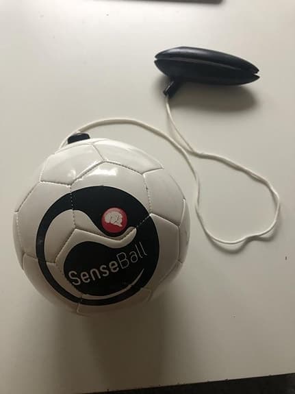 Senseboll