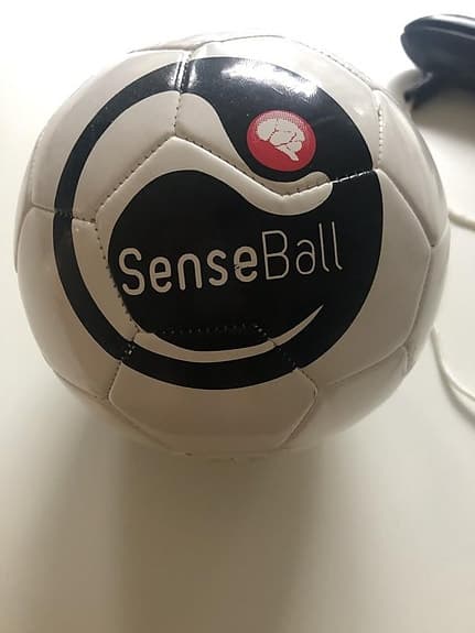 Senseboll