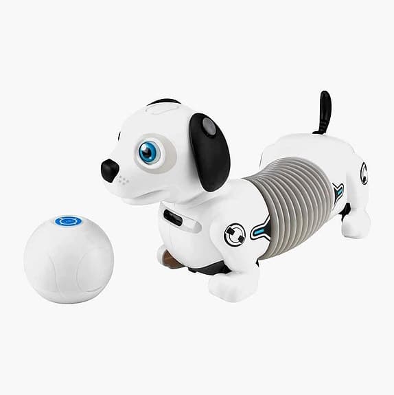 Robothund