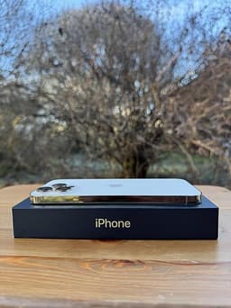 iPhone 13 Pro Max 256 Gb