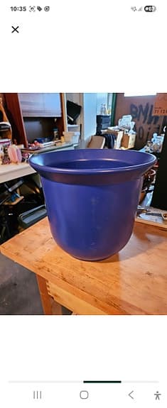 Blomkruka blå mycket stor !