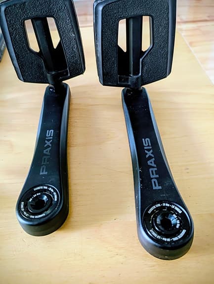 Praxis Works Specialized Carbon E-bike vevarm