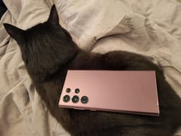 Samsung galaxy s22 ultra