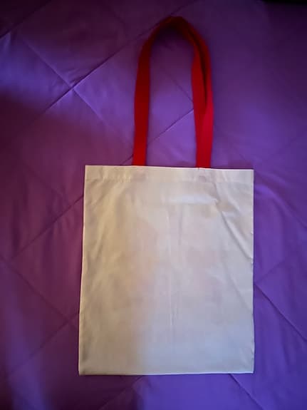 Pink Funhouse bag med rött tryck och röda handtag från 2009 turnén Stockholm NY