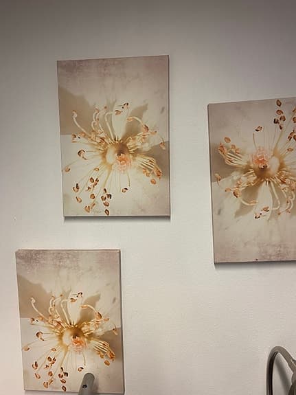 3 st Dekorativa tavlor med blommigt motiv.