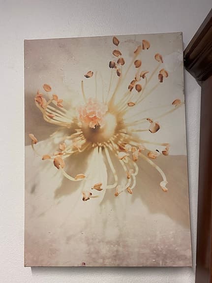 3 st Dekorativa tavlor med blommigt motiv.