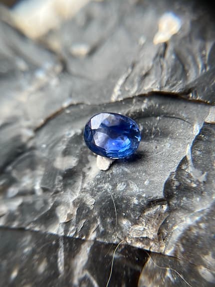 Oval blå safir 1.48 ct Ceylon