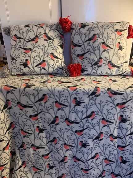 Mysig pläd och kuddar