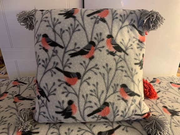 Mysig pläd och kuddar