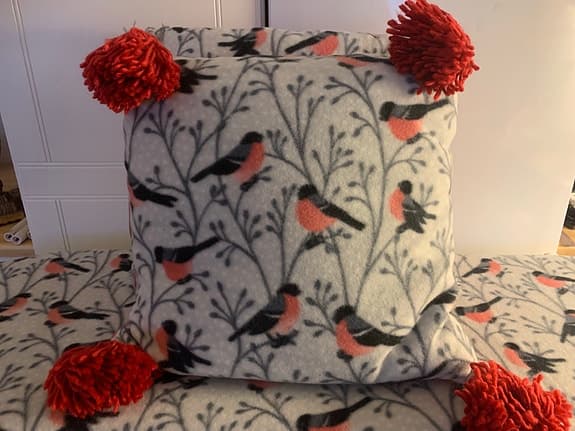 Mysig pläd och kuddar