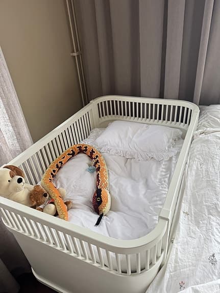Sebra baby & junior säng