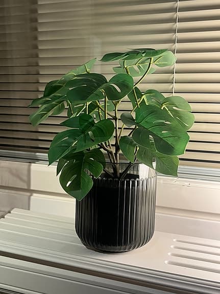 Glaskruka med konstväxt – Nytt!