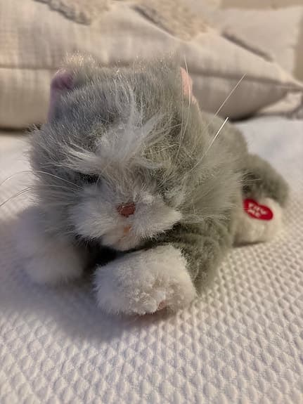 Ty mjukisdjur grå katt