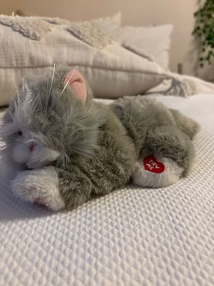 Ty mjukisdjur grå katt