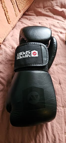 Kickboxning - Benskydd och boxningshandskar