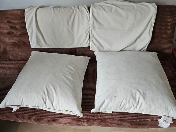 Två Gosa Tulpan-kuddar 65x65 cm – inkl. fodral