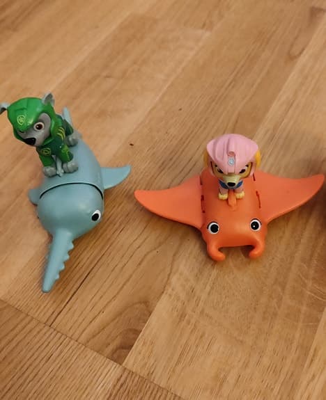 Paw Patrol - Aqua pups
