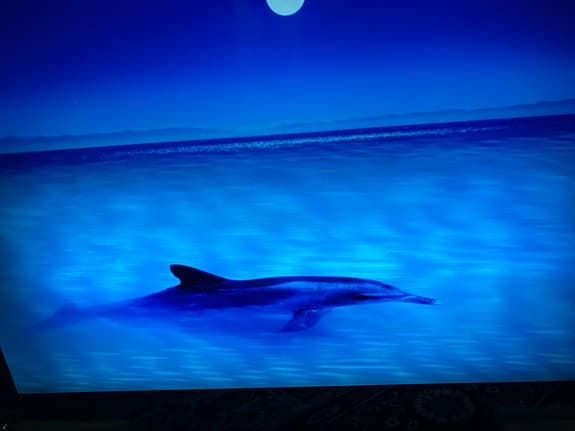 Waterfall  picture tavla .