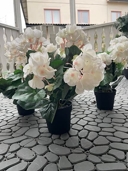 4 st konstväxter i kruka (nypris 1 000 kr) – säljes för 400 kr