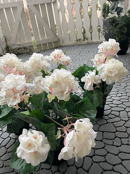 4 st konstväxter i kruka (nypris 1 000 kr) – säljes för 400 kr