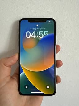 iPhone X 256 GB