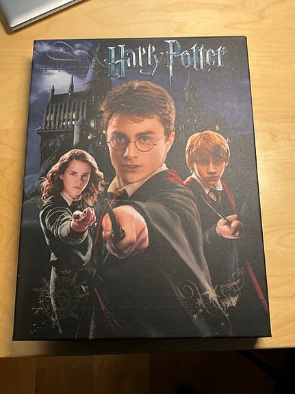 Harry Potter tavla/canvas 30x40cm